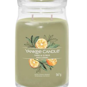 Yankee Candle Sage & Citrus Medium Jar